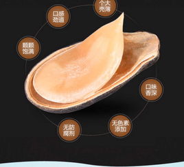 沙土喝茶瓜子濕西瓜子水煮五香咸味鹵味袋裝休閑零食批發(fā)小吃