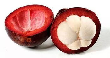 你每天都吃的南方水果 你知道是這樣長(zhǎng)出來的嗎