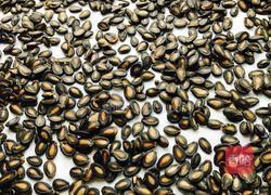 五香打瓜子：傳統風味的小吃魅力