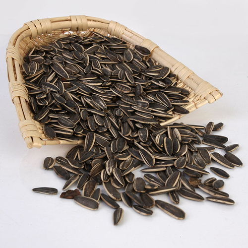 味蕾盛宴 從散裝批發(fā)到精致小包裝，探秘五香瓜子的獨特魅力